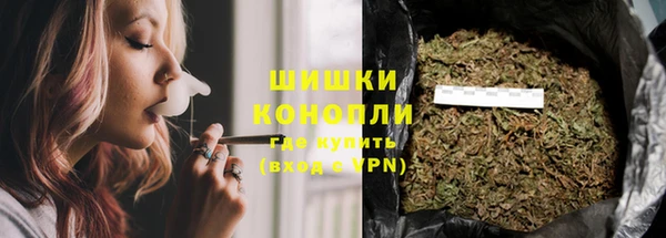 винт Дмитриев