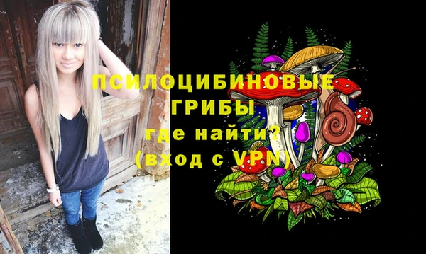 Альфа ПВП Дмитров