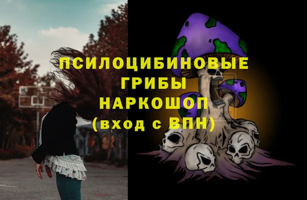 Альфа ПВП Дмитров